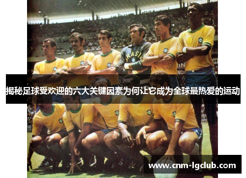 揭秘足球受欢迎的六大关键因素为何让它成为全球最热爱的运动