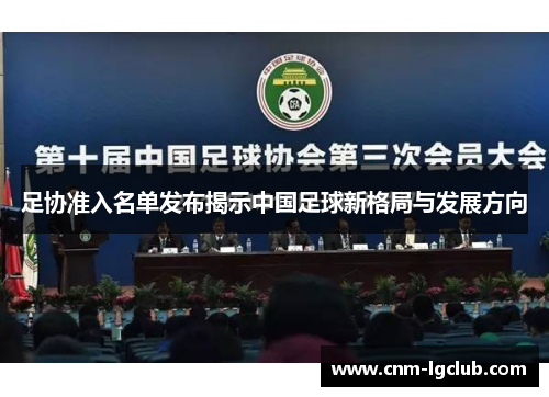 足协准入名单发布揭示中国足球新格局与发展方向