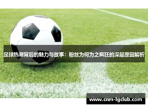 足球热潮背后的魅力与故事：粉丝为何为之疯狂的深层原因解析