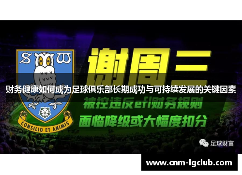 财务健康如何成为足球俱乐部长期成功与可持续发展的关键因素